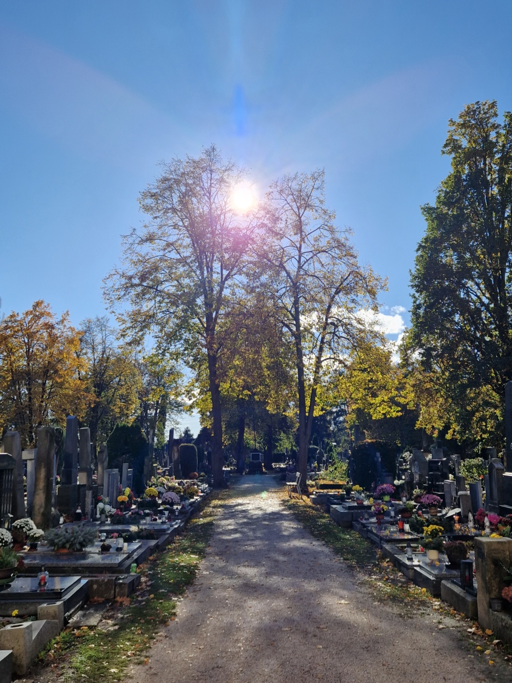 Pouchovský hřbitov v čase modliteb za duše v očistci